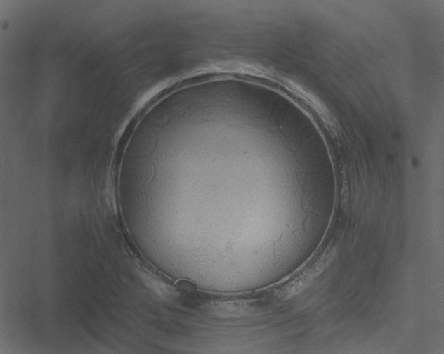 X0000051241272200506241512