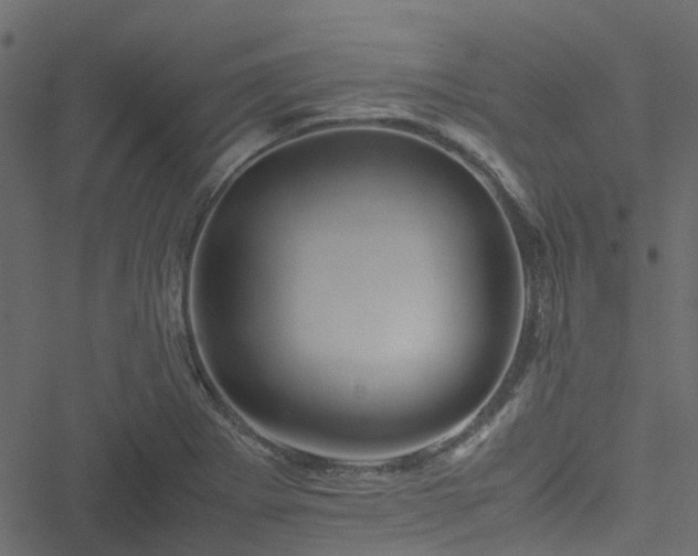 X0000051241273200506241512