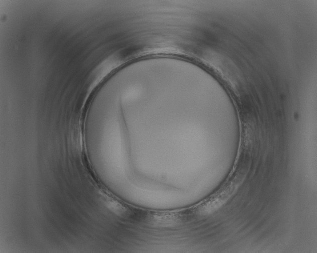 X0000051241274200506241512