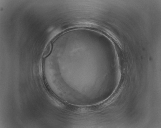 X0000051241275200506241512