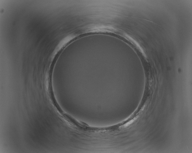 X0000051241277200506241512