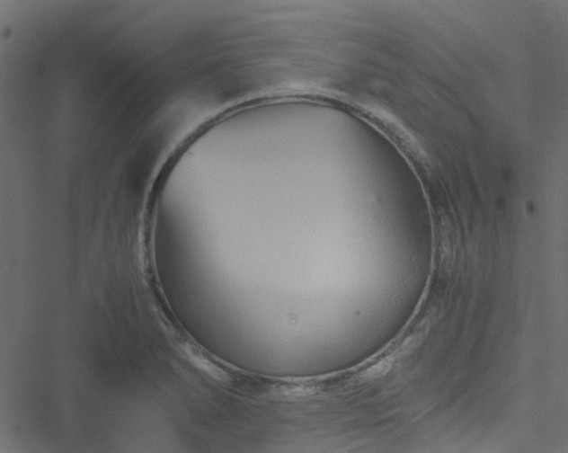 X0000051241278200506241512