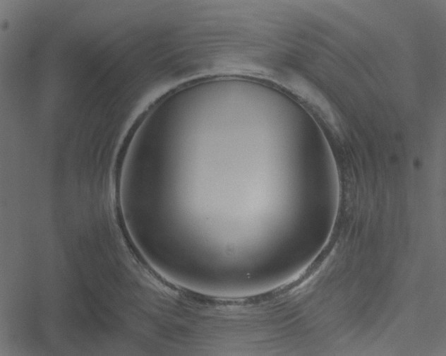 X0000051241280200506241512