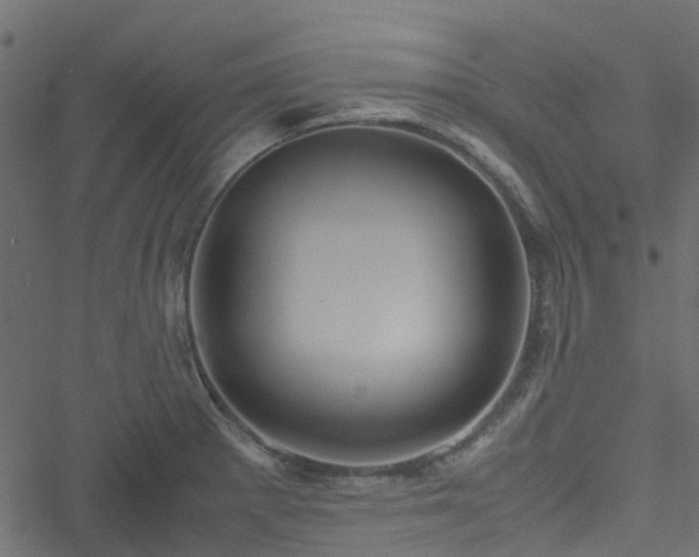 X0000051241281200506241512