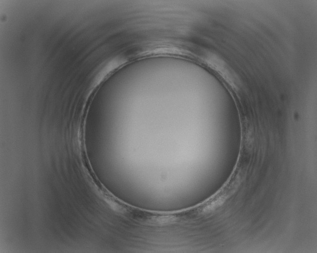 X0000051241282200506241512