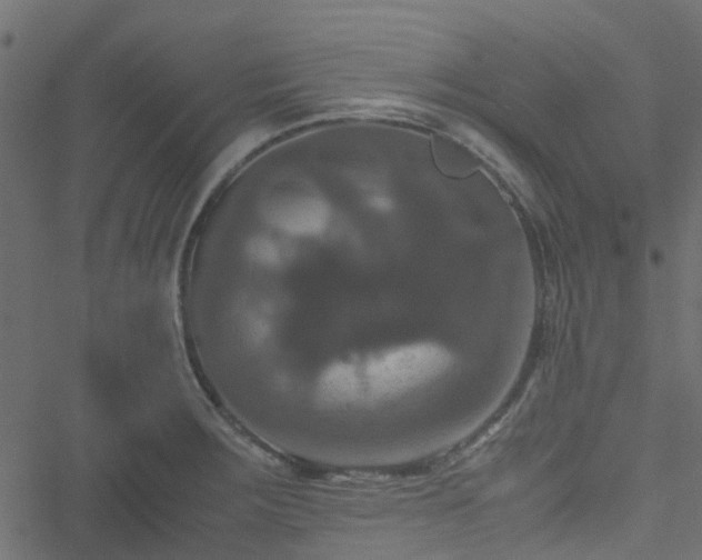 X0000051241283200506241512