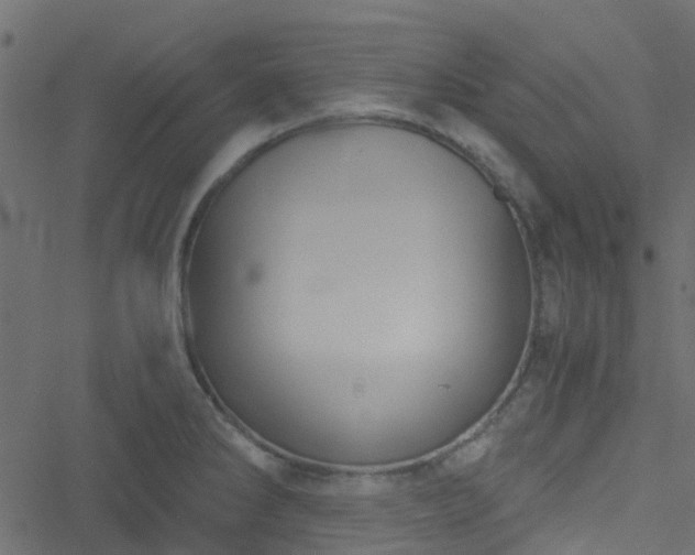 X0000051241286200506241512