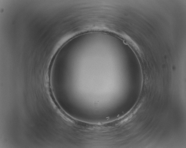 X0000051241287200506241512