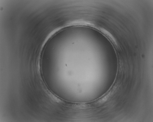 X0000051241288200506241512