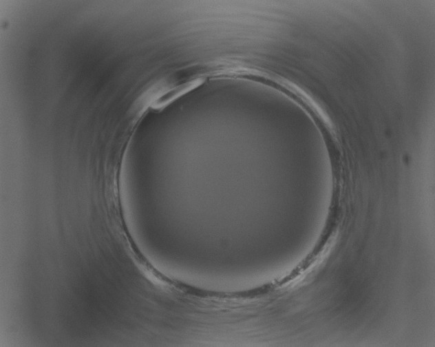 X0000051241289200506241512