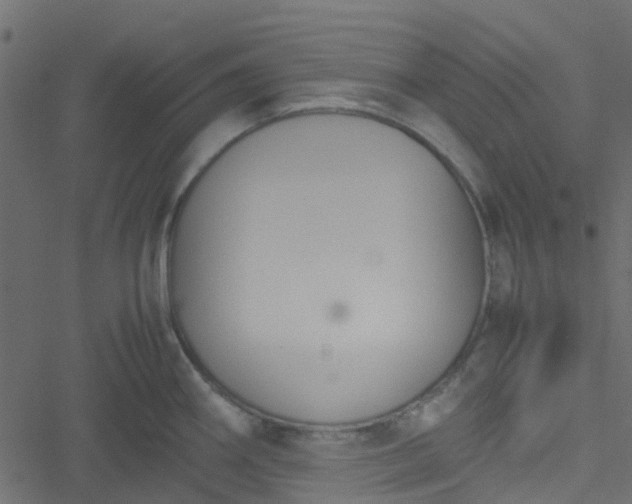 X0000051241290200506241512