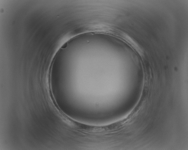 X0000051241291200506241512