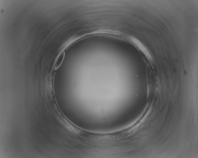 X0000051241292200506241512