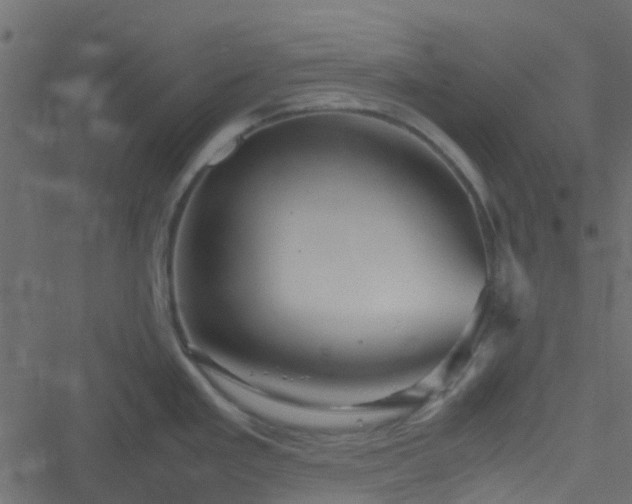 X0000051241293200506241512