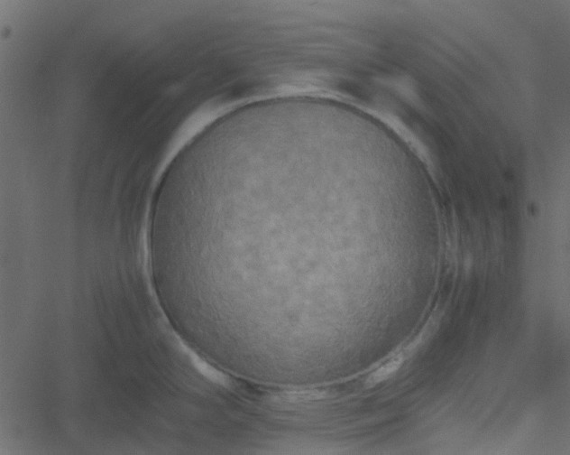 X0000051241294200506241512