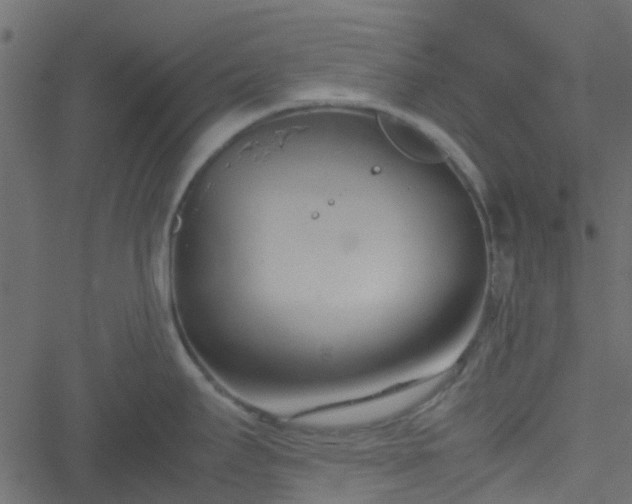 X0000051241295200506241512