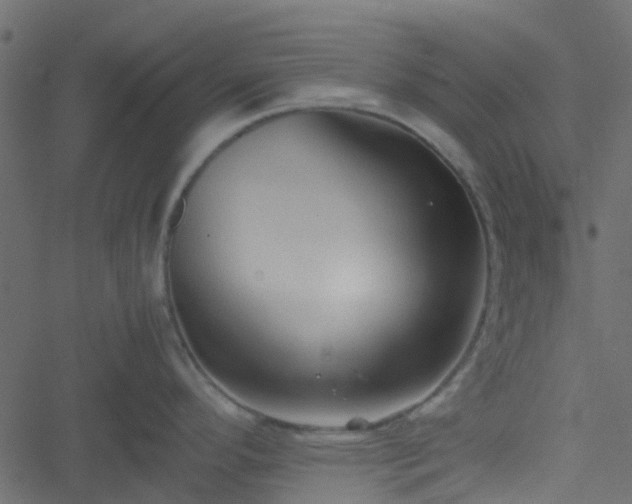 X0000051241296200506241512