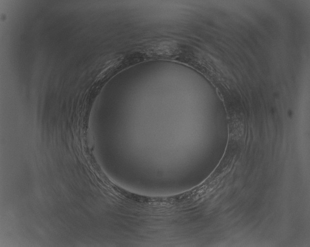 X0000051241297200506241511