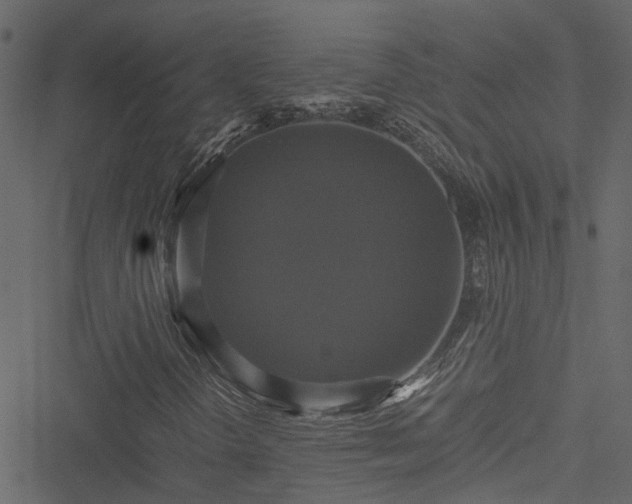 X0000051241298200506241511