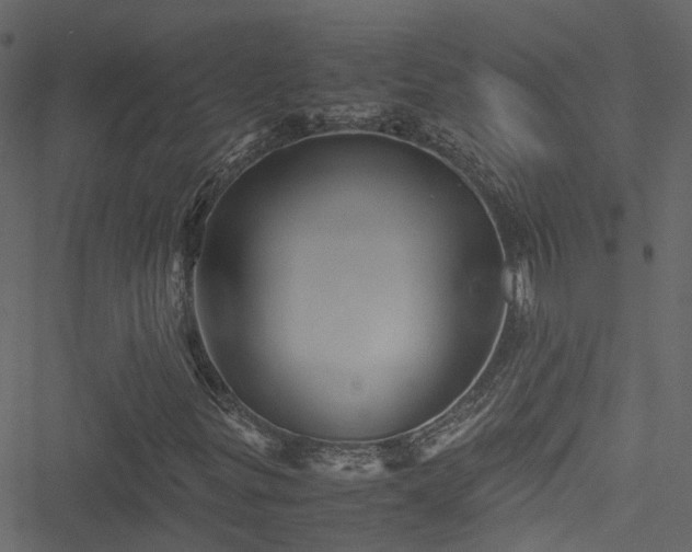 X0000051241299200506241511