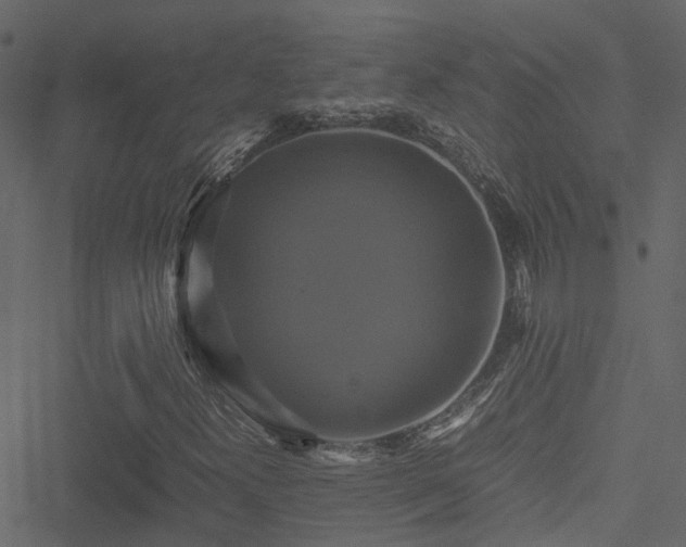 X0000051241300200506241511