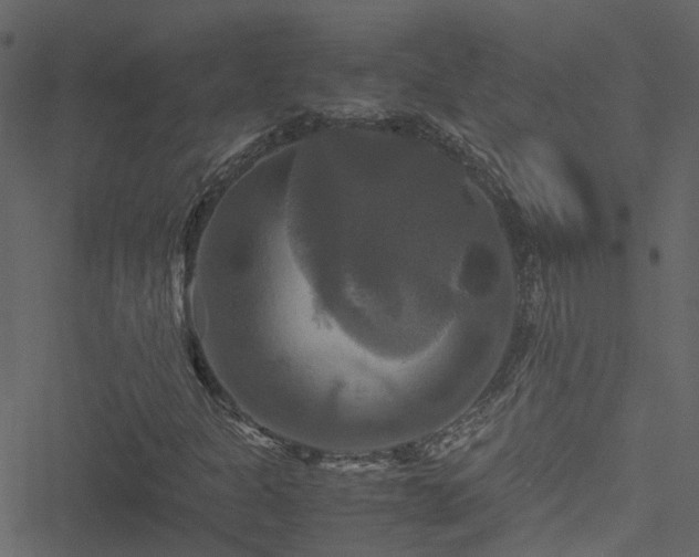 X0000051241301200506241511