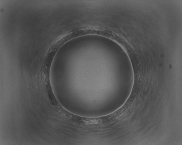 X0000051241303200506241511