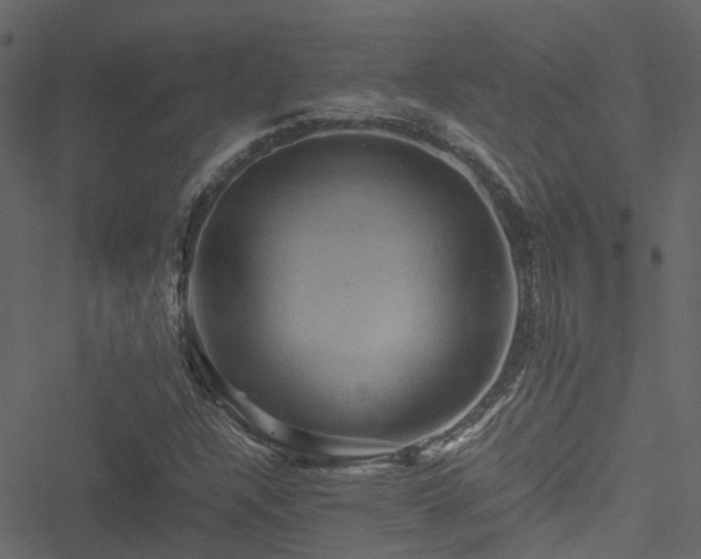 X0000051241304200506241511