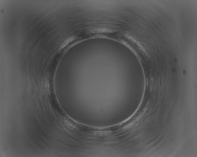 X0000051241305200506241511