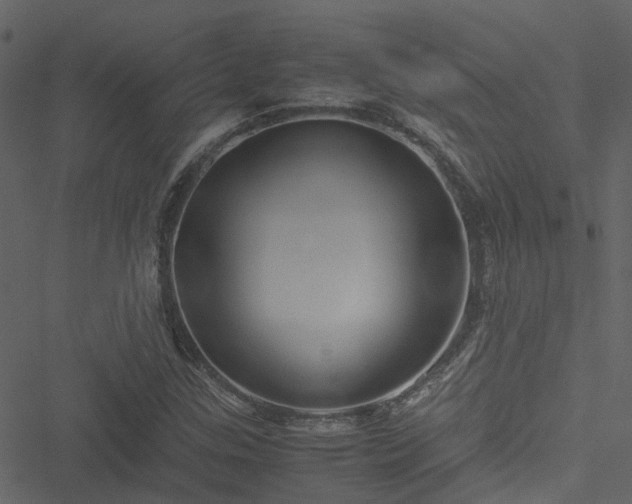 X0000051241307200506241511