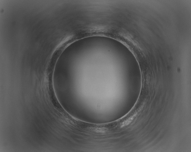 X0000051241309200506241511