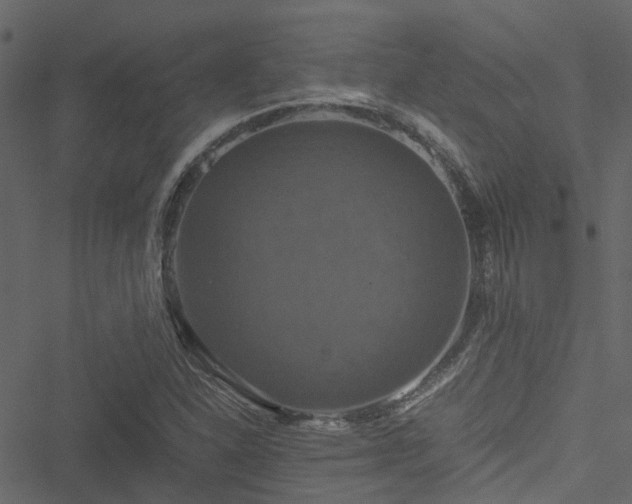 X0000051241310200506241511