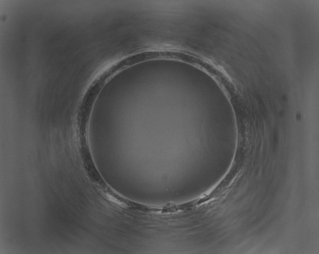 X0000051241311200506241511