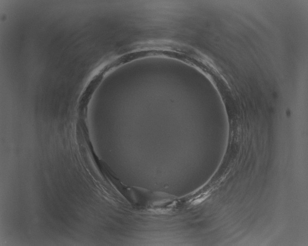 X0000051241312200506241511