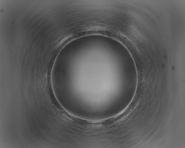 X0000051241313200506241511