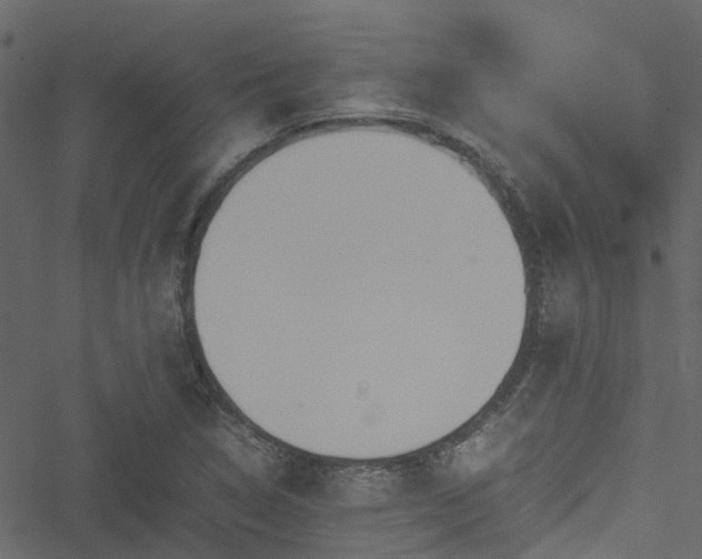 X0000051241314200506241511