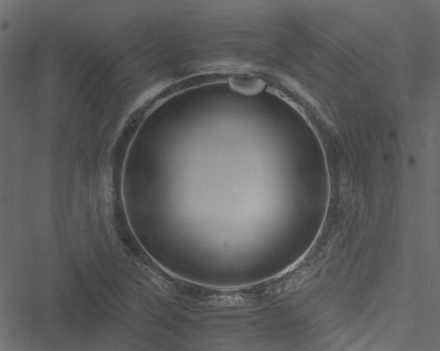 X0000051241315200506241511