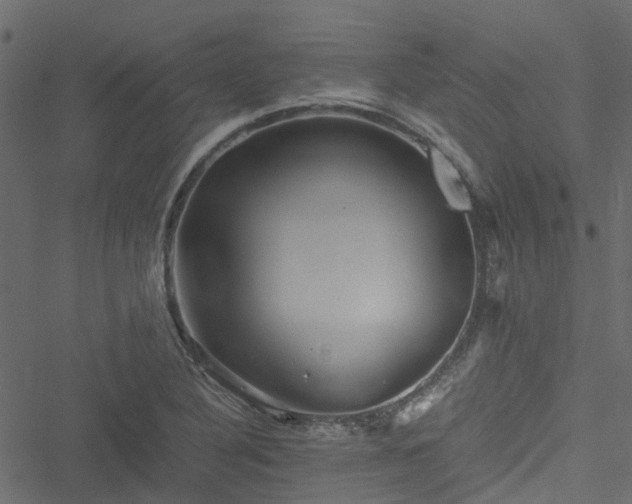 X0000051241316200506241511