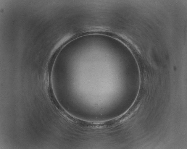 X0000051241317200506241511