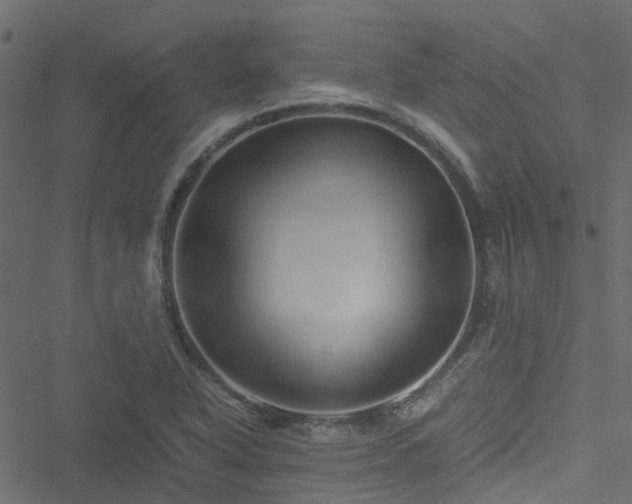 X0000051241318200506241511