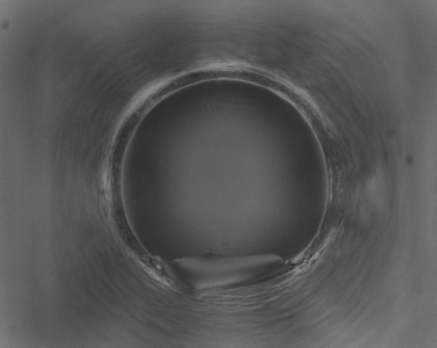 X0000051241319200506241511