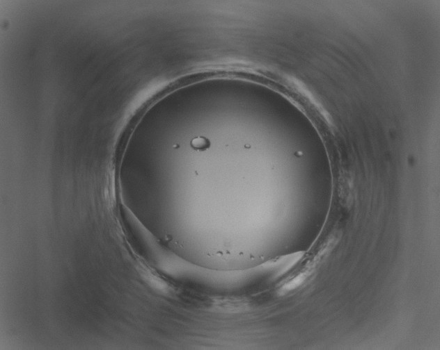 X0000051241320200506241511