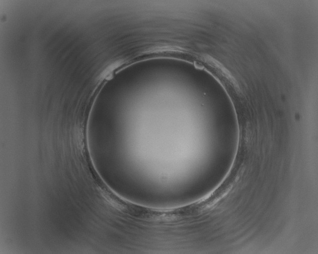 X0000051241321200506241511