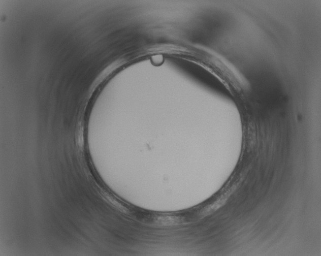 X0000051241322200506241511