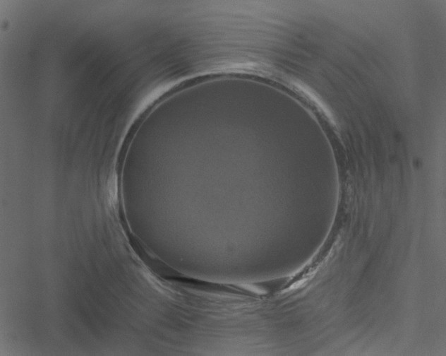 X0000051241324200506241511