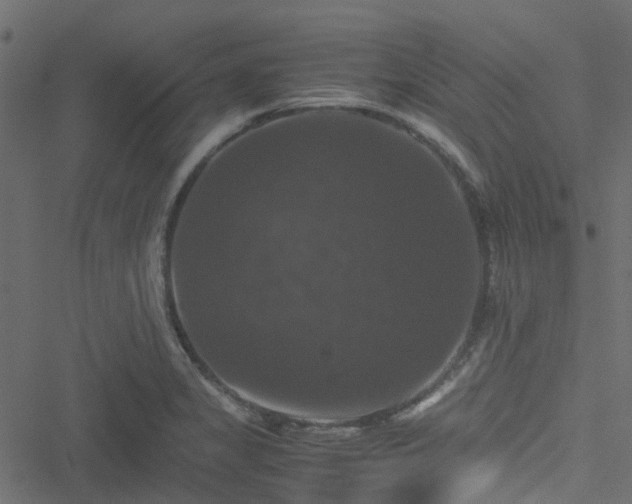 X0000051241325200506241511