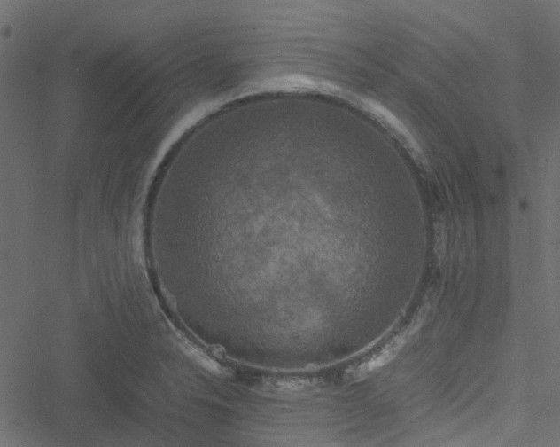 X0000051241326200506241511