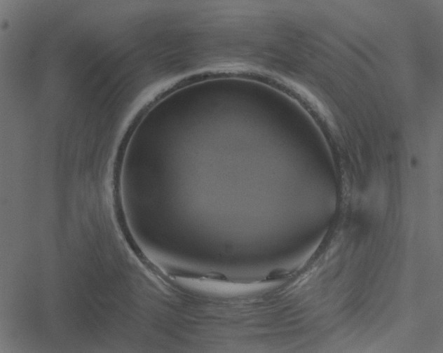 X0000051241327200506241511