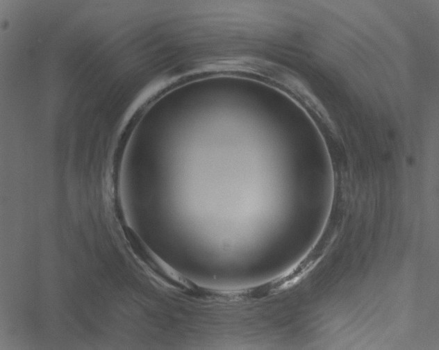 X0000051241328200506241511