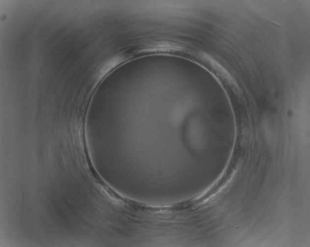 X0000051241329200506241511